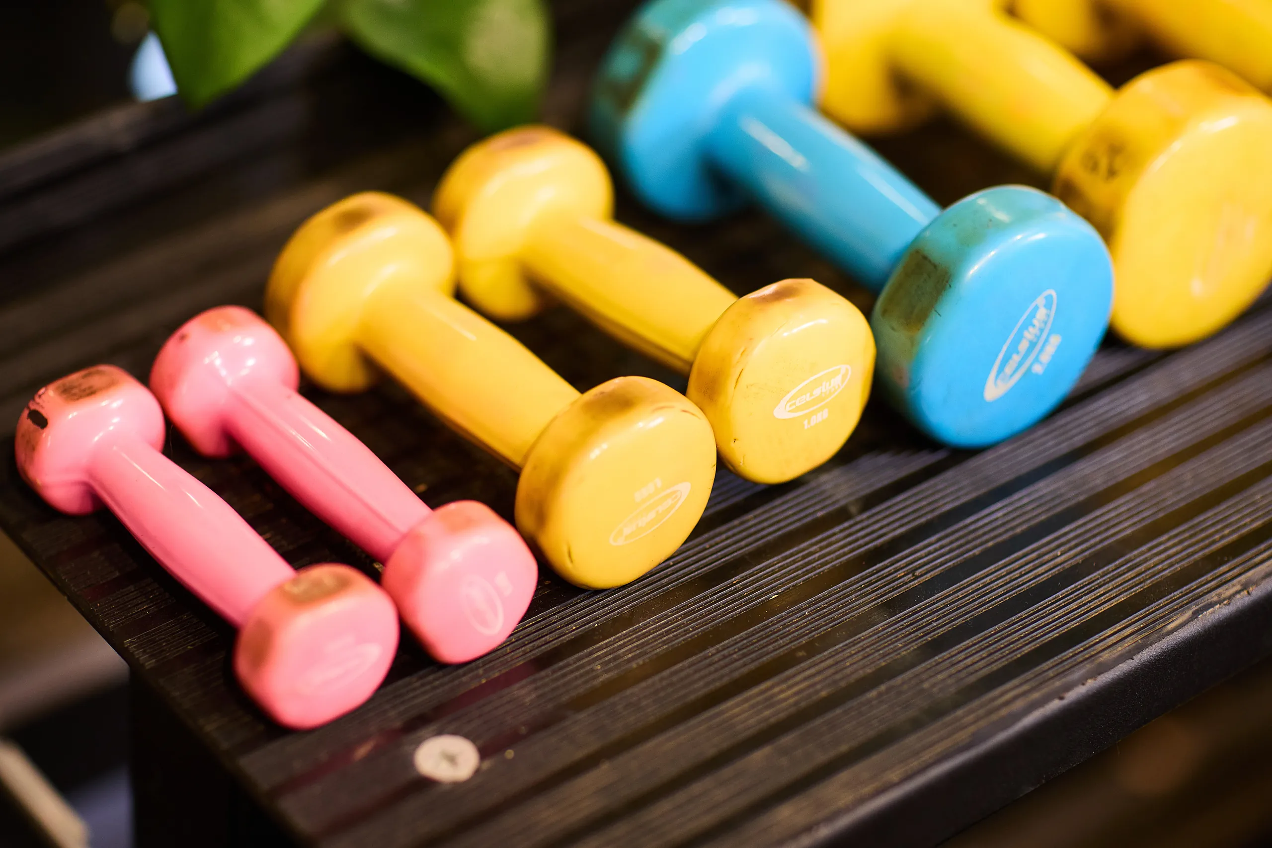 Colourful dumbbell set at Pure Physio Collins Street clinic with pink, yellow, and blue free weights arranged in rack with warm accent lighting.